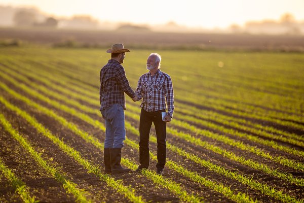Two people shaking hands in a field.